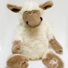 Adorable soft new sheep from the Fernie country