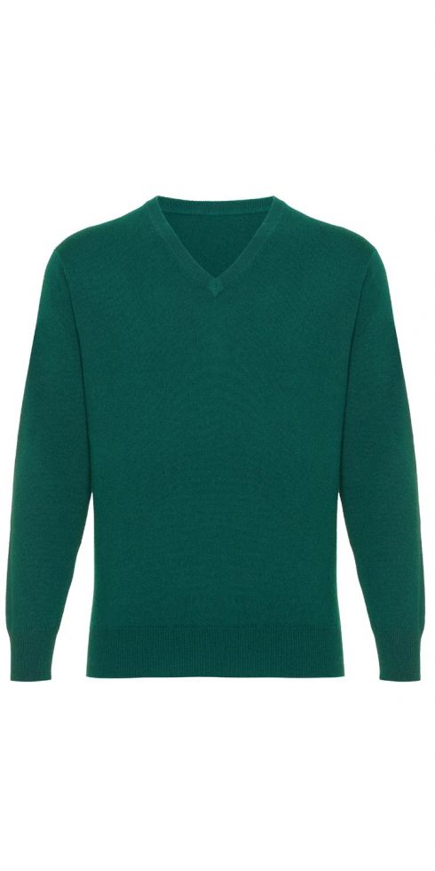 Stylish V-Neck Men's Jumper in 100% Pure Cashmere in Eight Super Colours: a snip for Club Members - Image 4