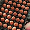 Rum Truffles 70% dark chocolate at CountryClubuk