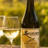 Secateurs Chenin Blanc 2025 by AA Badenhorst, a South African Swartland Chenin Blanc served with cheese, fruit and summer dining.