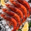 Sicilian red prawns, Aristaeomorpha foliacea, head-on and shell-on, on crushed ice.