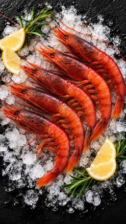 Sicilian red prawns, Aristaeomorpha foliacea, head-on and shell-on, on crushed ice.